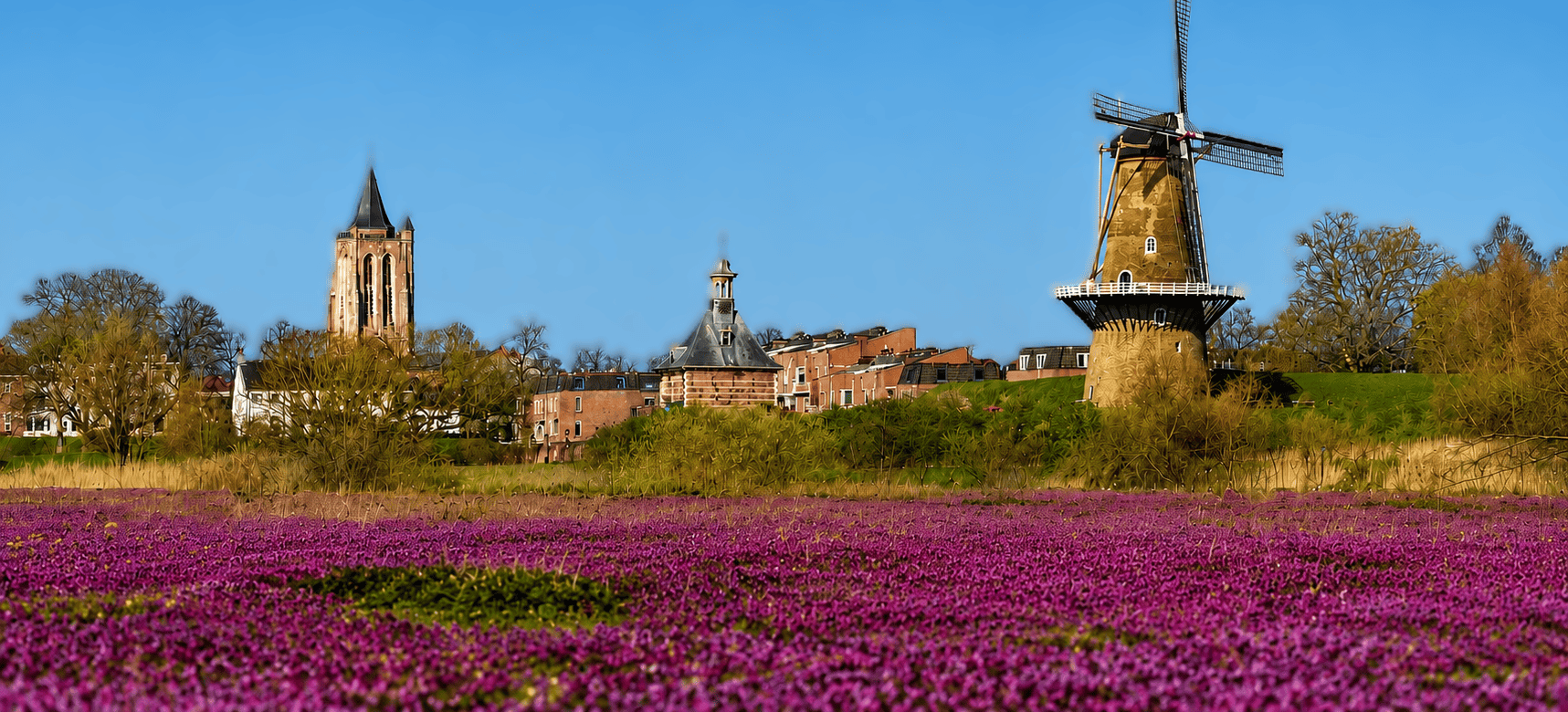 Landschap van Gorinchem met historische gebouwen, molen en bloeiende bloemen